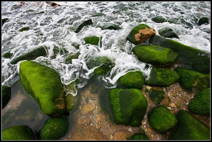 Viaggio in Normandia, Francia - Un viaggio fotografico in Normandia nell'agosto del 2008, alla ricerca dell'acqua, del mare e del vento del nord, a cura di Dario Bonetto.