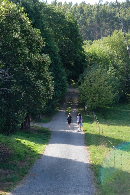 Cammino Inglese, Cammino di Santiago, Alberto Sciamplicotti - Cammino Inglese: spesso si lasciano i tratti lungo le strade principali per prendere carrarecce che conducono verso sentieri dal fascino antico