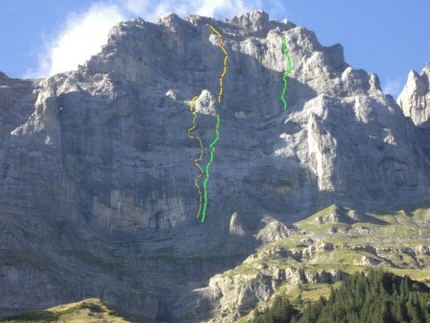 Infinite Jest, Mahren, Wenden - Infinite Jest (green), Coelophysis (yellow)