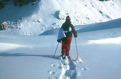 Col dei Bois Basso