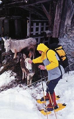Montagna Viva, il sistema di itinerari escursionistici invernali