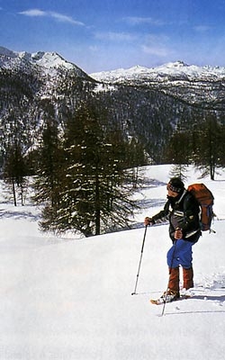 Cima del Bosco