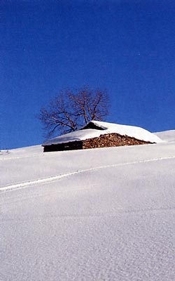 Il Colle Vaccera e il Mont Servin, dalle Porte di Angrogna