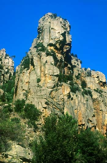 Chanson de Près verts