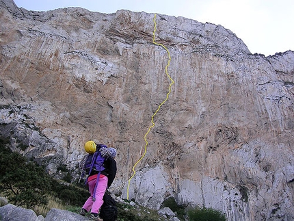 Il mio scanto libero Monte Gallo - Il mio scanto libero: Monte Gallo, parete nord. Un nuovo mondo. Foto Maurizio Oviglia