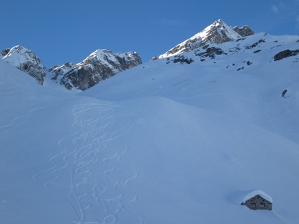 Passo della Coppa - Passo della Coppa: L'Alpe Cuttiri; nessuno osa andare a disturbarla...