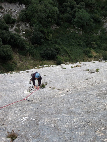 Hystrix Pizzo Campana - Rocca Busambra - Hystrix: Calcare compatto su Hystrix (ph arch. M. Giglio)