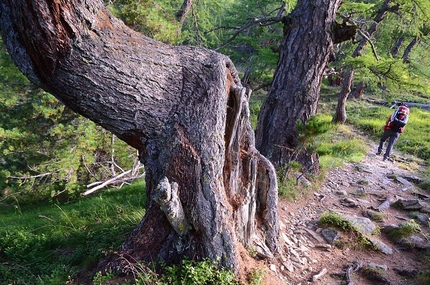 Trekking del Lupo - Trekking del Lupo