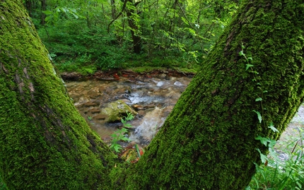 Parco Nazionale della Maiella - Il giro del Ponte del Vallone, Orfento