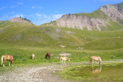 Dolomiti di Brenta Trek - Dolomiti di Brenta Trek: Laghetto Pian Della Nana