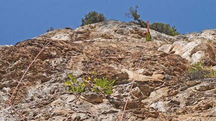 Decrescita Obbligata Gola di Frasassi - Decrescita Obbligata: Decrescita Obbligata: Grande Nic, onsight first free ascent!