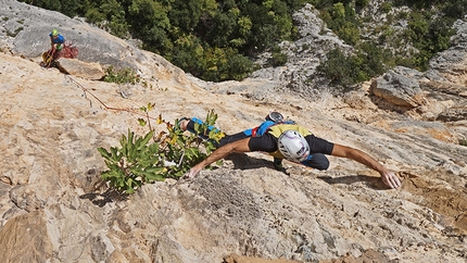 Decrescita Obbligata Gola di Frasassi - Decrescita Obbligata: Decrescita Obbligata: Rolando Larcher redpointing pitch 3