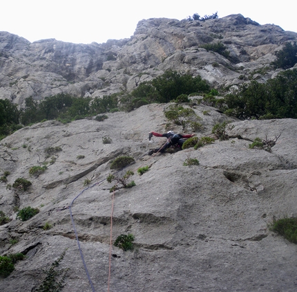 Heroes Pizzo Campana - Rocca Busambra - Heroes: Giuseppe Barbagallo in apertura sul primo tiro della via Heroes (6b+, 186m, Giuseppe Barbagallo, Massimo Flaccavento, Giorgio Iurato) Pizzo Campana (Rocca Busambra)