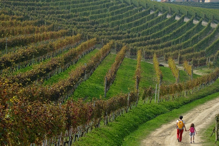 La Cappella del Barolo, La Morra