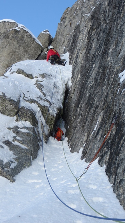 La farfalla tigre Cima Bifora - La farfalla tigre: On pitch 6 of La farfalla tigre