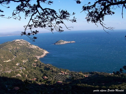 Spigolo delle Canne d'organo Argentario - Costa della Scogliera - Canne d'Organo - Spigolo delle Canne d'organo: L'Isolotto