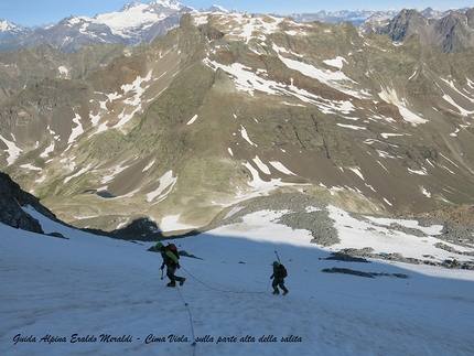 Cima Viola Cima Viola - Cima Viola: Cima Viola - in salita sul ghiacciaio