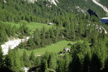 Scala del Minighel e il Giro della Tofana di Rozes Tofana di Rozes - Scala del Minighel e il Giro della Tofana di Rozes: La radura Cason di Travenanzes