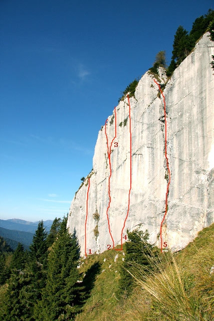 Climbing at Baule and Bilico - Baule, Vette Feltrine, Dolomites. The new routes established by Manolo from left to right: 1) Osteria Tacicavallo 8a; 2) Il cane veste Bvlgari 6b+; 3) L'orso boz 7c; 4) Garibaldi 8b; 5) Crosnobel 6a+