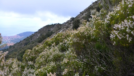 Monte Capanne: la discesa dalla montagna al mare Monte Capanne - Monte Capanne: la discesa dalla montagna al mare: Isola d'Elba camminare e trekking