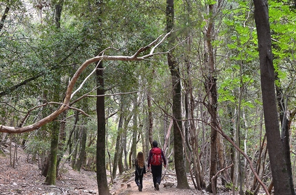 Monte Capanne: la discesa dalla montagna al mare Monte Capanne - Monte Capanne: la discesa dalla montagna al mare: Isola d'Elba camminare e trekking