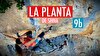 Video: Anak Verhoeven climbing La Planta de Shiva (9b)