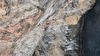 Jernej Kruder nets Big fish, 8c+/9a Mallorca Deep Water Solo