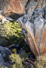 James Pearson makes highball ascent of Legacy at Rocklands