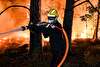Major forest fires in Fontainebleau, France